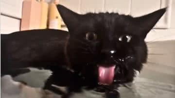 Reprodução / Redes Sociais