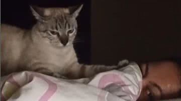 Reprodução / Redes Sociais