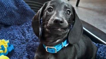 Reprodução / Redes Sociais