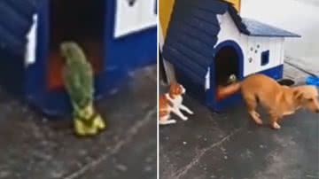 Reprodução / Redes Sociais