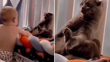 Reprodução / Redes Sociais