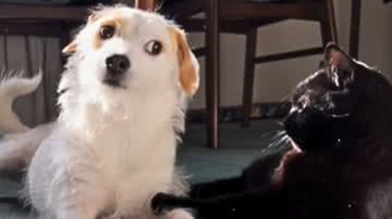 Reprodução / Redes Sociais