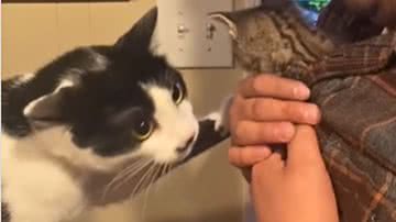 Reprodução / Redes Sociais