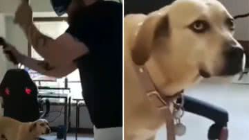 Reprodução / Redes Sociais