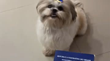 Reprodução / Redes Sociais