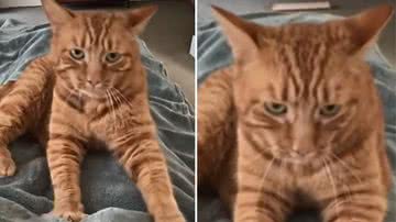 Reprodução / Redes Sociais