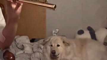 Reprodução / Redes Sociais