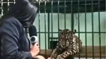 Reprodução / Redes Sociais