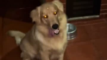 Reprodução / Redes Sociais