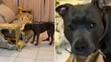 Reprodução / Redes Sociais