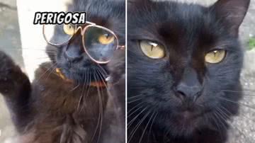 Reprodução / Redes Sociais