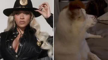 Reprodução / Redes Sociais