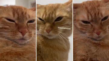 Reprodução / Redes Sociais