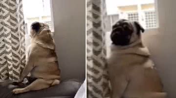 Reprodução / Redes Sociais