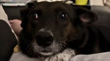 Reprodução / Redes Sociais