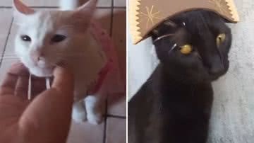 Reprodução / Redes Sociais