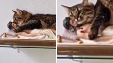 Reprodução / Redes Sociais