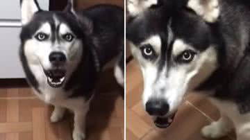 Reprodução / Redes Sociais