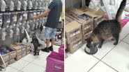 Reprodução / Redes Sociais