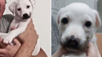 Reprodução / Redes Sociais