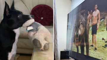 Reprodução / Redes Sociais