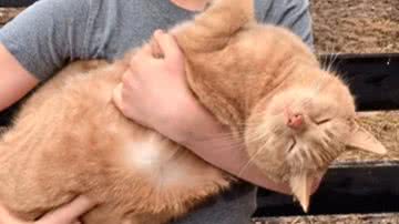 Reprodução / Redes Sociais