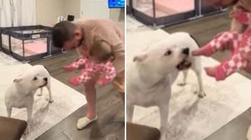 Reprodução / Redes Sociais