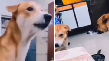 Reprodução / Redes Sociais