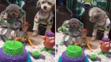 Reprodução / Redes Sociais