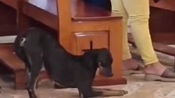 Reprodução / Redes sociais