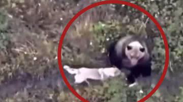 Reprodução / Instagram