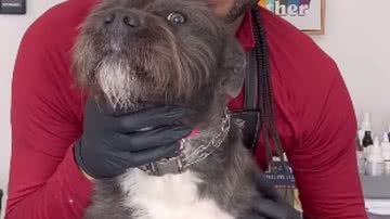 Reprodução / Instagram