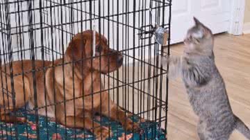 Reprodução / Instagram