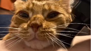 Reprodução / Instagram