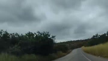 Reprodução / Internet