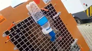 TV Globo/Reprodução