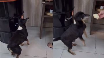 Reprodução/ Redes sociais