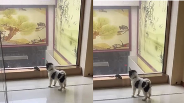 Reprodução/Redes sociais