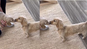 Reprodução/ Redes sociais