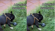 Reprodução/ Redes sociais