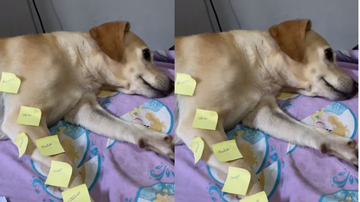 Reprodução/ Redes sociais