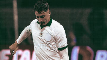 Reprodução/Palmeiras