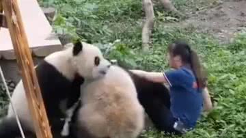 Reprodução/YouTube