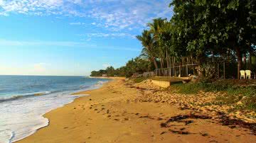 Vilamir Azevedo, CC BY-SA 3.0/Wikimedia Commons