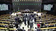 Mario Agra / Câmara dos Deputados/Divulgação