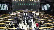 Mario Agra / Câmara dos Deputados/Divulgação