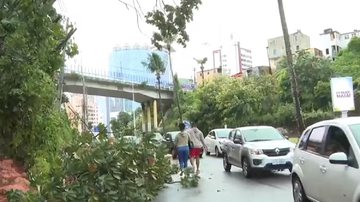 Reprodução/TV Bahia