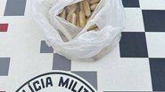 Reprodução/ PMSP