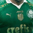 Divulgação/Palmeiras