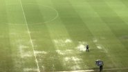 Reprodução